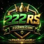 222RS Game